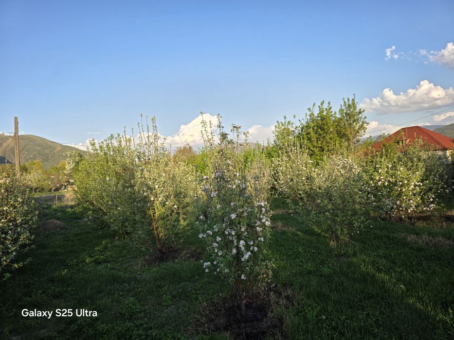 Продажа дом уалханова39