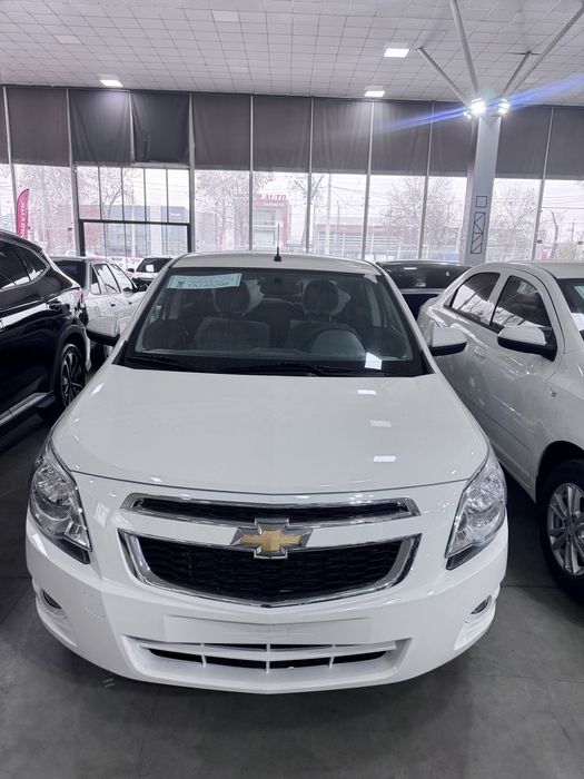 Cobalt style msm 2026