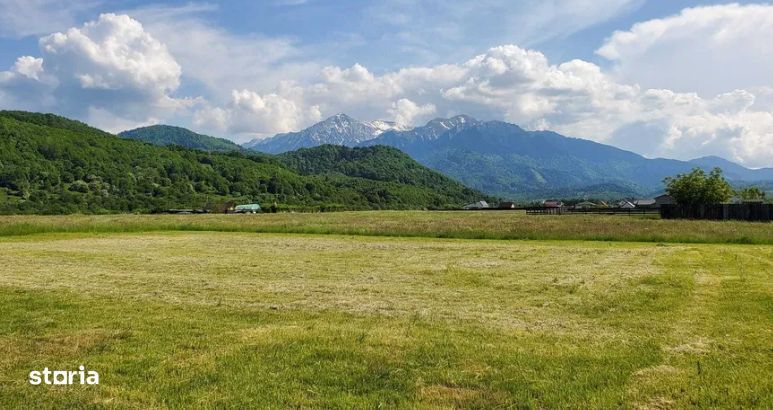 Teren Glajerie-Rasnov 1000mp P.U.Z!!