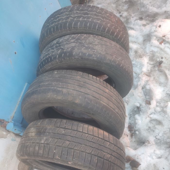 шины летние поштучно