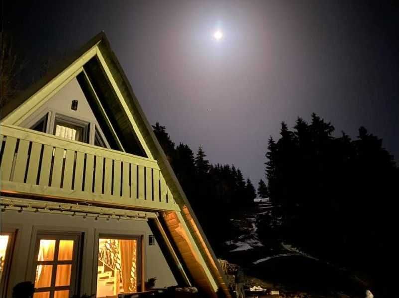 Cabana stil A-Frame si Case din structura de lemn la comanda