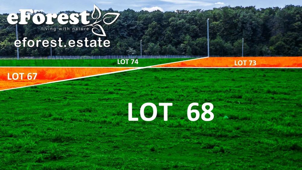 eForest, Loturi la lizieră cu pădurea, acces din DN1A, după Buftea