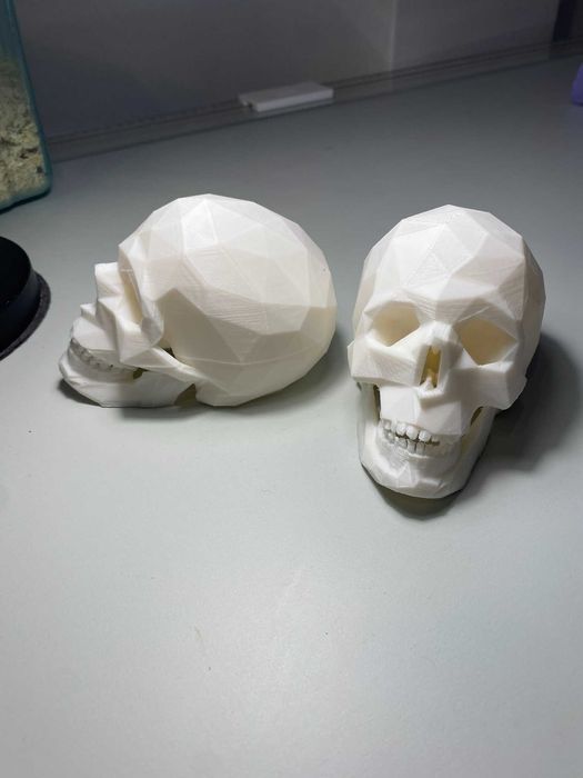 3D принтиран череп