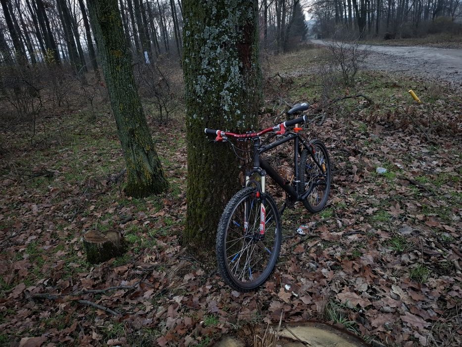 Vand Bicicletă Red Bull