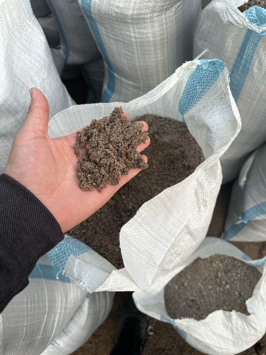 Qum  Кум Шебен