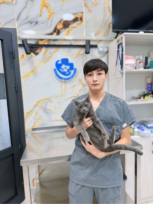 Veterinariya xizmati – It va mushuklar uchun tezkor yordam!