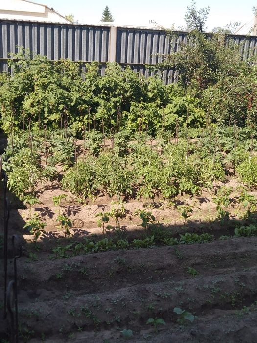 Продам двухэтажный дом