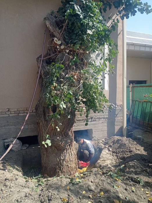 Бензопила хизмати