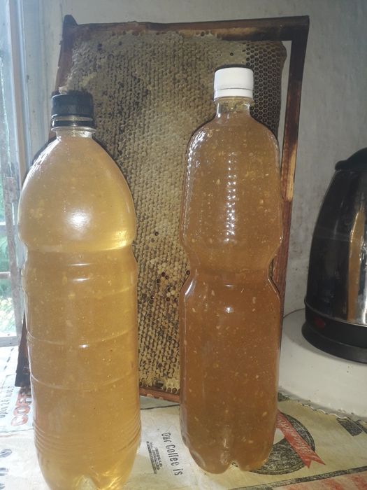 Продам мед, мёд, медок!