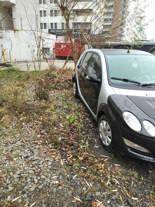 Smart Forfour -Cluj-Napoca