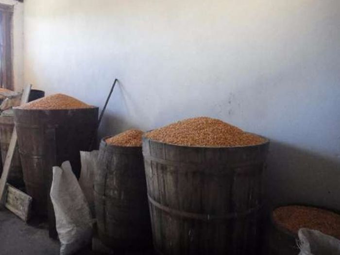 Batoza Desfacatoare Sfarmatoare Batut Porumb LIVRARE GRATUITA