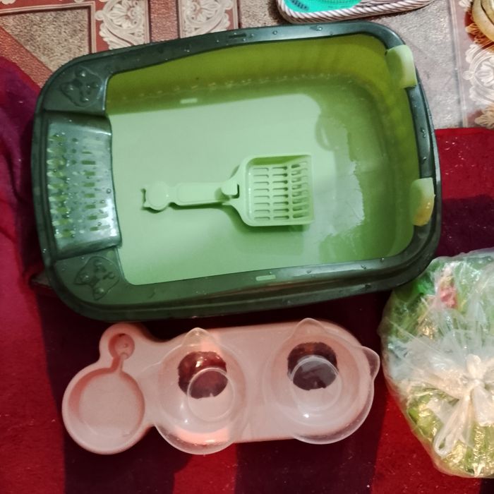 Лоток для животных и пасуда