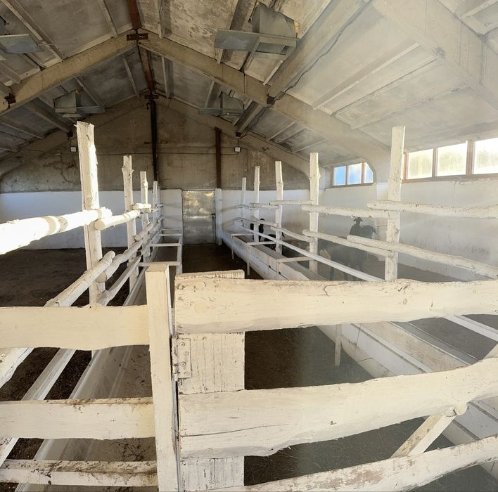 Ведение животноводства