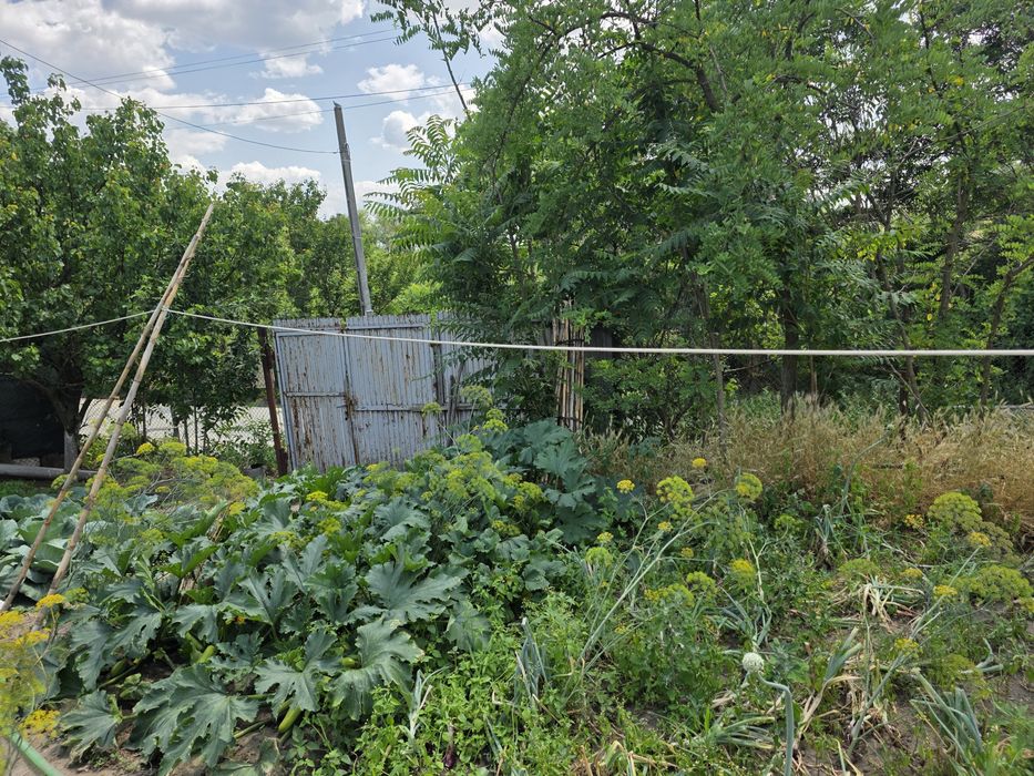 Vand teren intravilan, sat Badosi - 1800m2