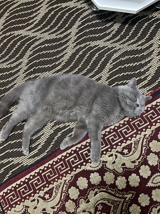 Одамни яхши куради