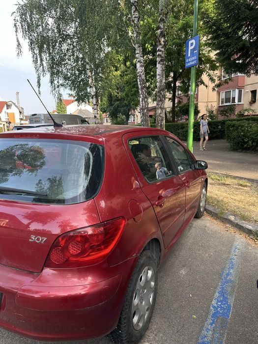 PEUGEOT 307 2006 — imagine 4