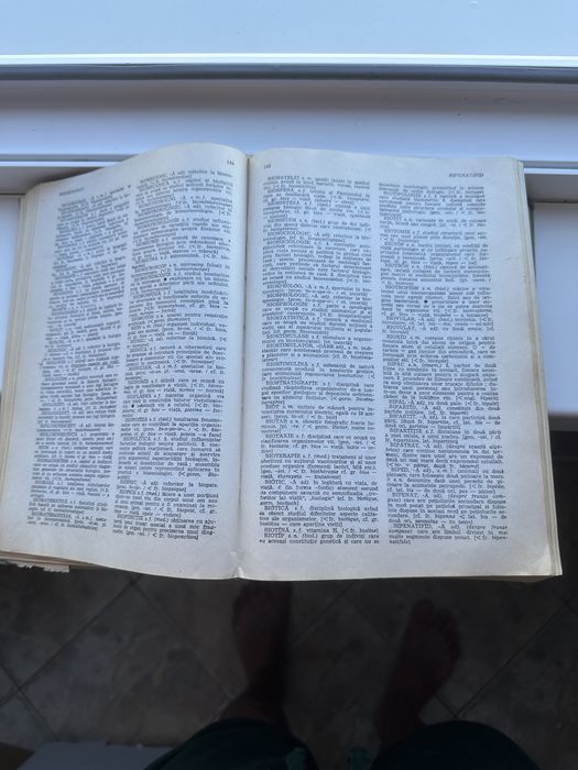 Vand Dictionar Neologisme