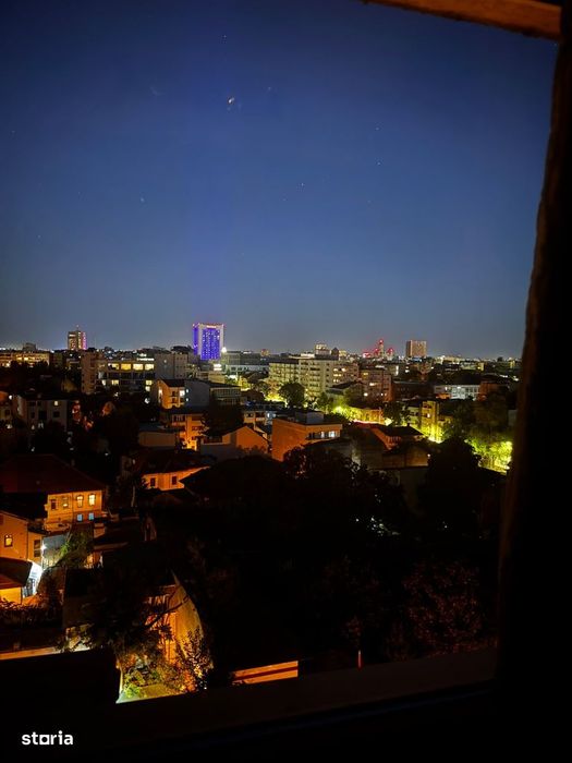 3 Cam | Dorobanti | Stefan Cel Mare | Victoriei | Metrou | Pet Frienly
