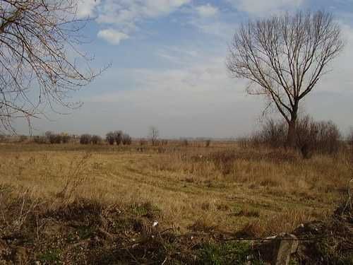 Продава се Парцел в София, Чепинци - 5380 кв.м за 100 €/кв.м - Снимка #3