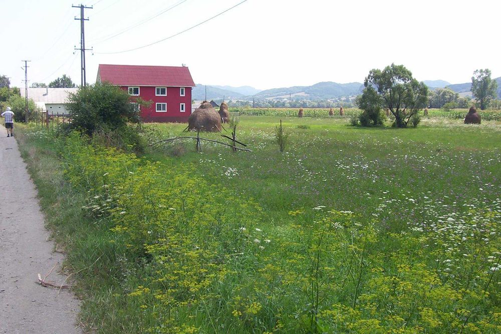 Intravilan Rebreanu. Loc casa Targu Lapus