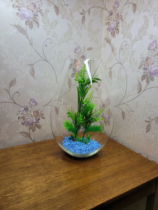 Декоративный аквариум