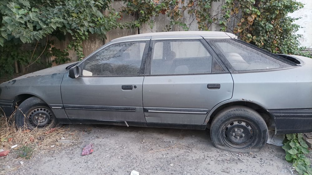 Dakument hamma narsasi bor