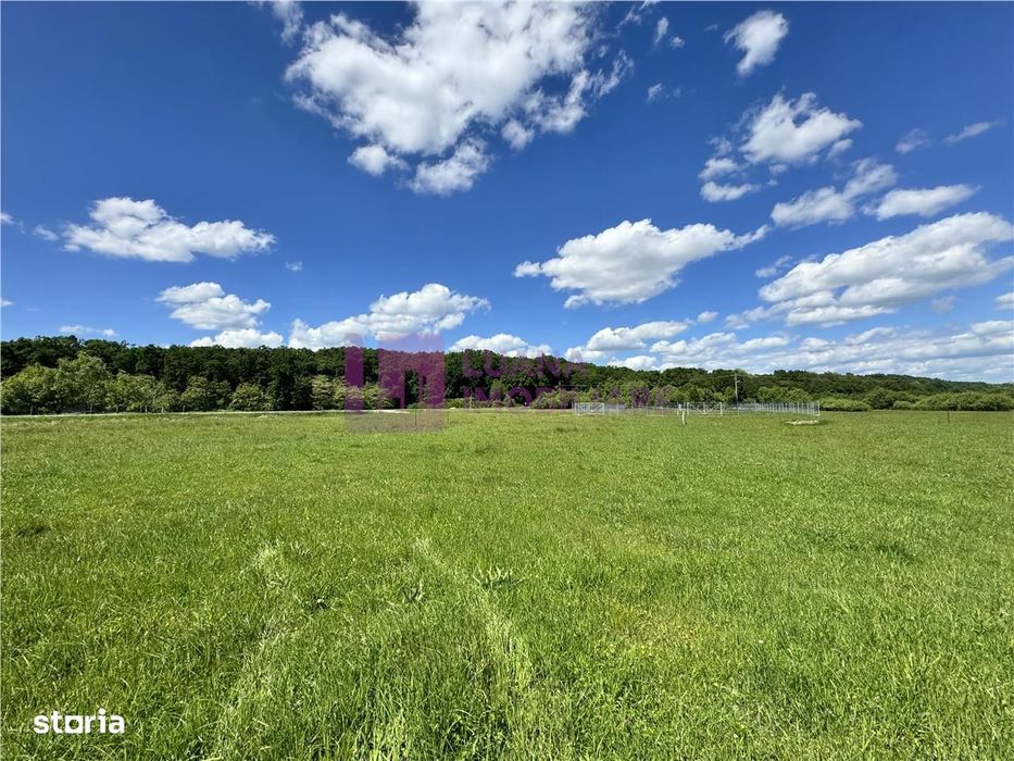 Teren 712 mp | Sibiu - Cisnadioara | constructie casa independenta