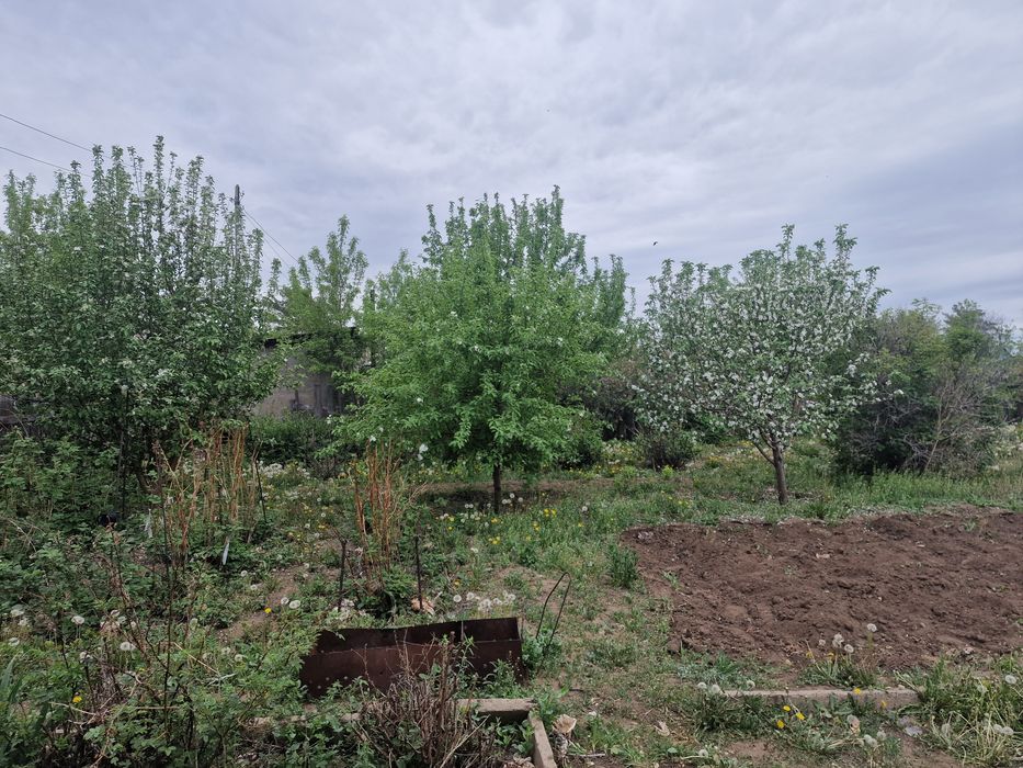 Продаётся дача в Цветущий саду