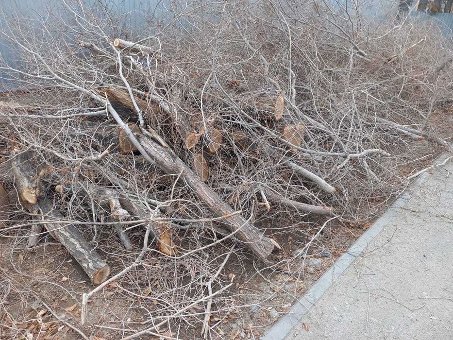 Даром Дрова самовывоз