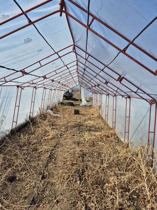 Оранжерия 1 бр 1602