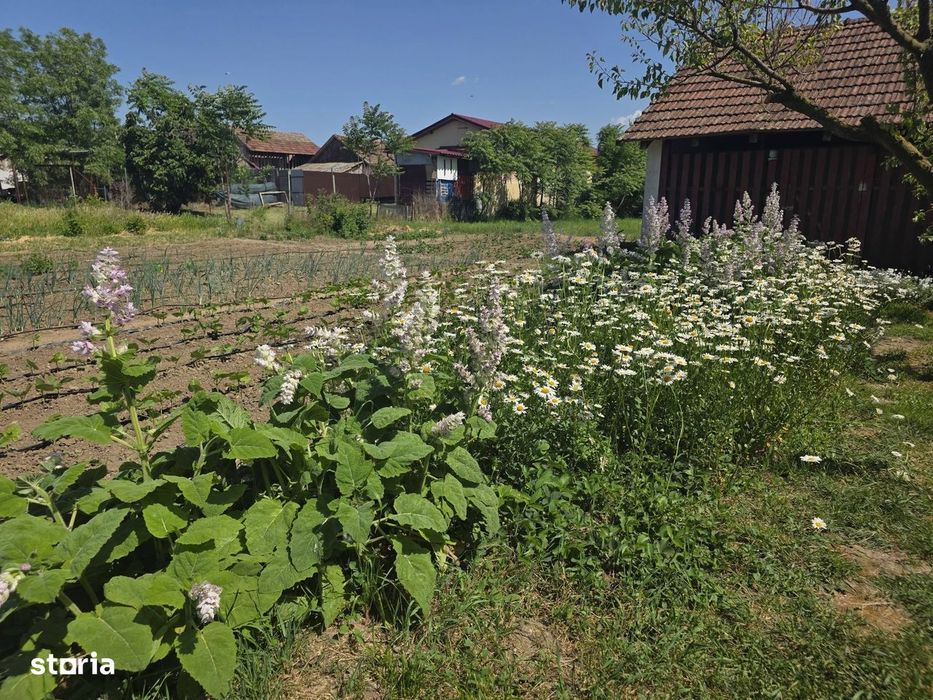De vânzare casă deosebită situată în  Santăul Mic