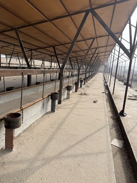 Срочно Сотилады  Ферма