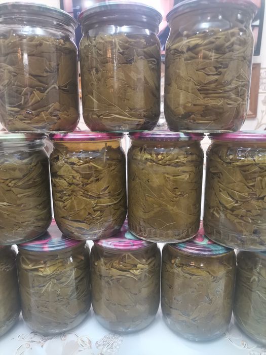 Продам виноградные листья Долму.