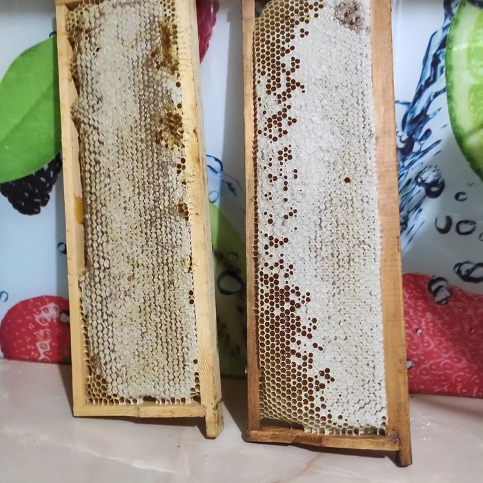 Продам Мёд с личной пасеки