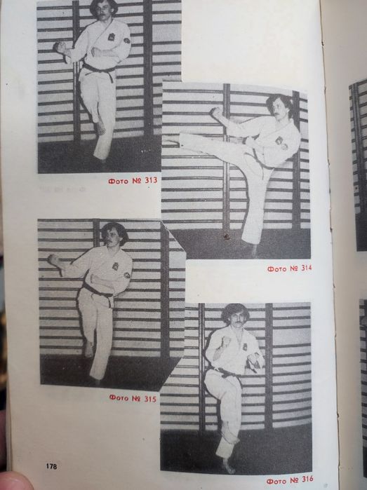 Каратэ до  С. Лапшин