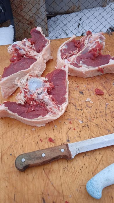 Мясо Говядина ,қашар достовка бесплотна