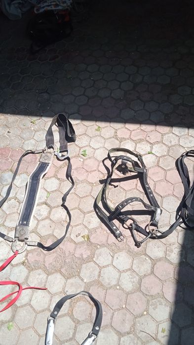 Ер тоқым. Өте жақсы жағдайда.