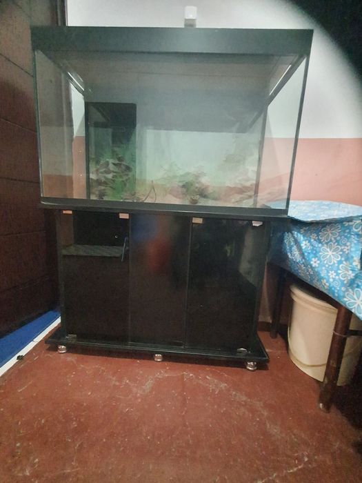 Akvarium sotiladi. Algoritm 31 kvartalda.
