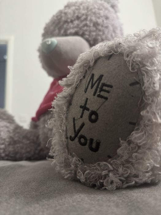 Мягкая игрушка Ted