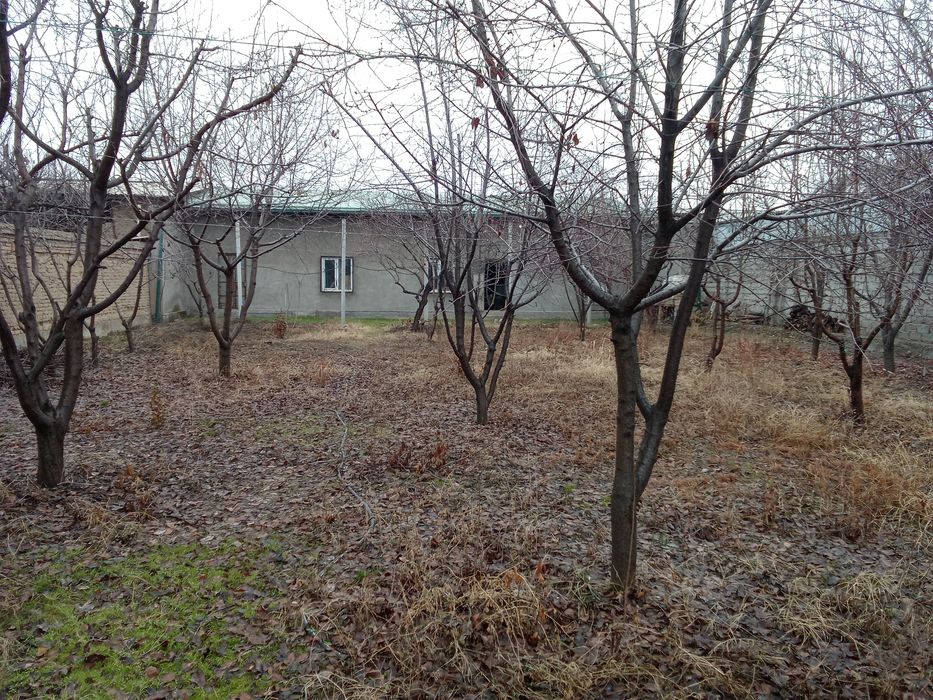 Барданкуль да 8 сот. ер