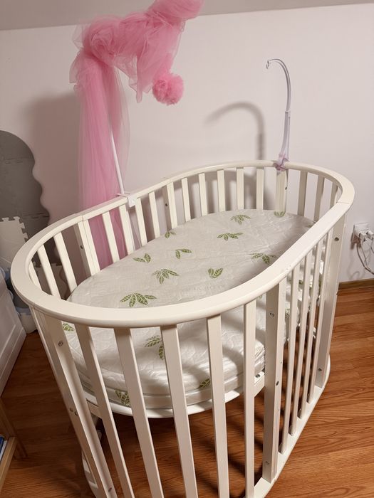 Patut bebe oval, evolutiv