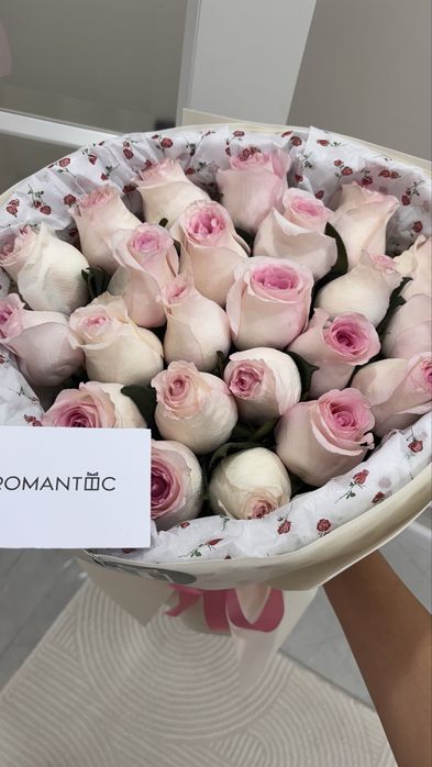 Розово-белый Роза,Қызыл роза