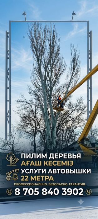 СПИЛ деревьев любой сложности