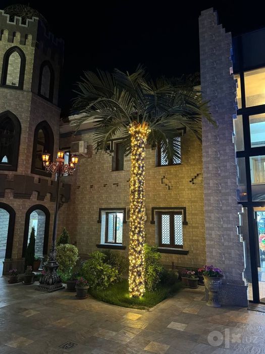 Qashqadaryo | Hovli dizayni uchun suniy palma 3-8m skidka -33%