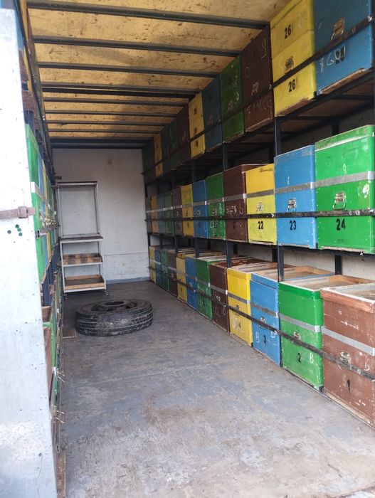 Camion apicol Man 7, 5 t an 2005