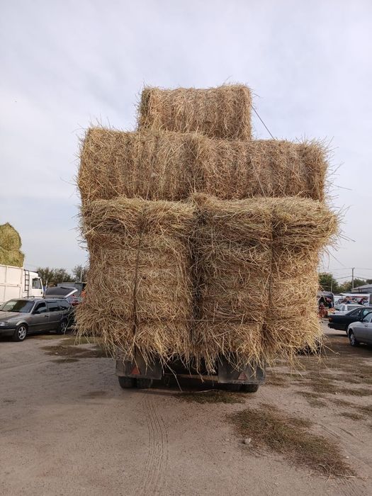 Сено салома урлон саван сатамын оптом доскамен салома саван сатамын ур