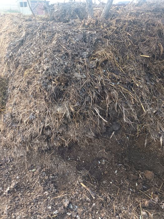 Gunoi de grajd  super pret