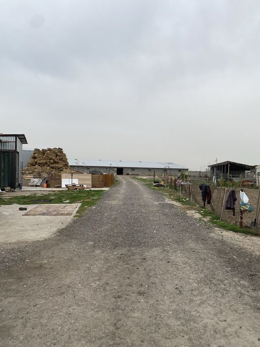 Продам фазенду 50 соток