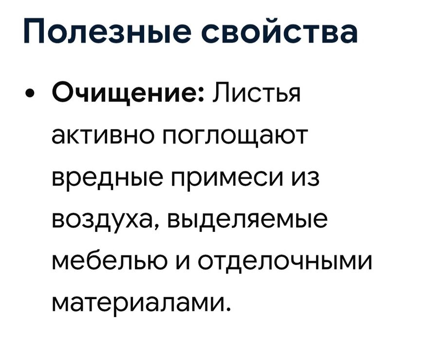 Продам Аглаонему