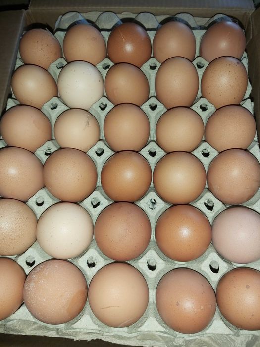 Vand oua de gaina ,cantitate limitata la 100 buc